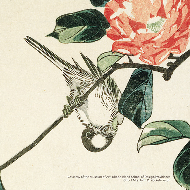 画像：開催中の特別展サムネイル